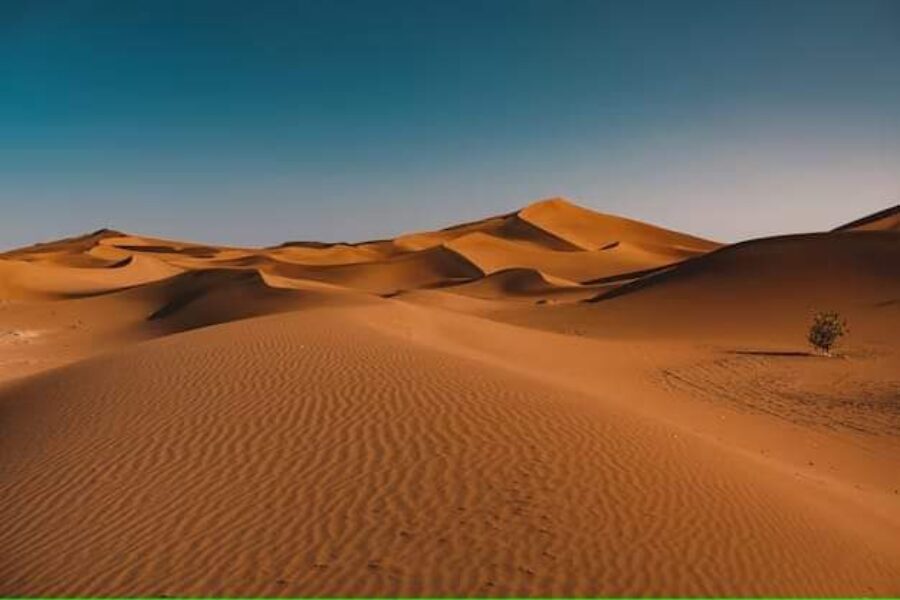 Il Suono nelle meraviglie della Natura: il deserto – venerdì 31 maggio ore 21