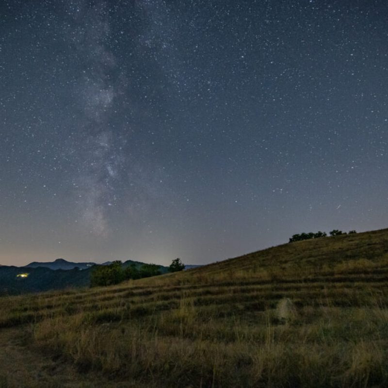 Il Suono nelle meraviglie della Natura: la radura – venerdì 23 febbraio ore 21