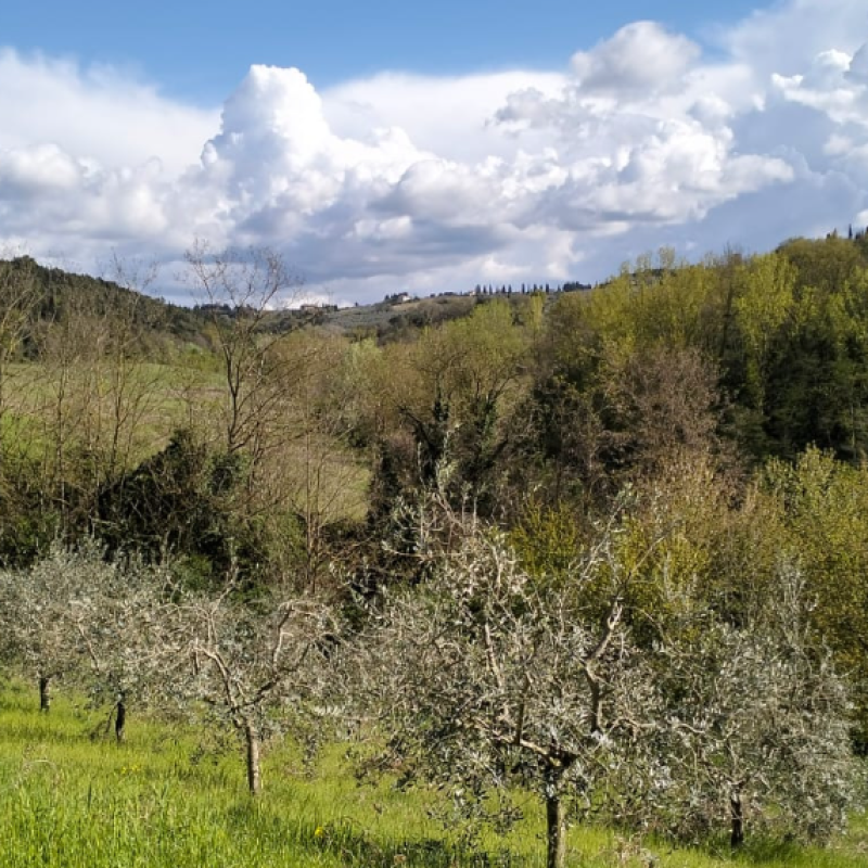 Nahdah in Natura a Casa Martini: domenica 11 giugno dalle 10